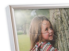 Plastic frame