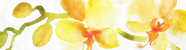 Mothering Sunday Gifts